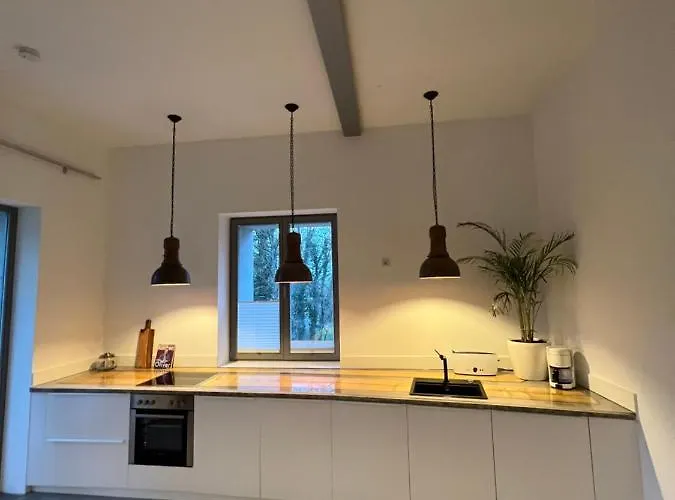 Historisches Designer Loft Hébergement de vacances